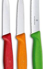Victorinox Swiss Classic Knives