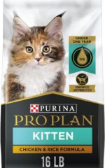Purina Pro Plan With Probiotics, High Protein Dry Kitten Food, Chicken & Rice Formula - 16 Lb. Bag